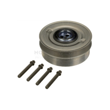 Image for Torsion Vibration Damper