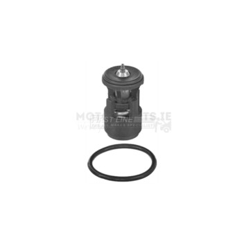 Image for Thermostat