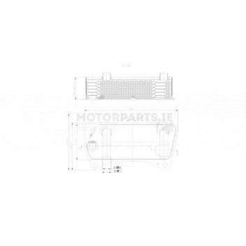 Image for Transmission Cooler