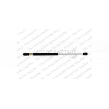 Image for Gas Spring