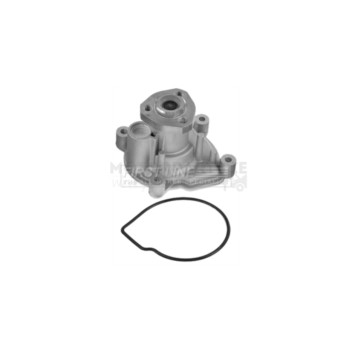 Image for Water Pump
