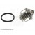 Image for Thermostat