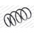 Image for Coil Spring