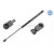Image for Gas Spring