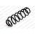 Image for Coil Spring