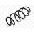 Image for Coil Spring