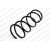 Image for Coil Spring