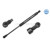 Image for Gas Spring