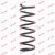 Image for Coil Spring