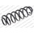 Image for Coil Spring