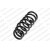 Image for Coil Spring