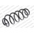 Image for Coil Spring
