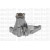 Image for Water Pump
