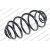 Image for Coil Spring