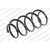 Image for Coil Spring