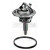 Image for Thermostat