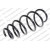 Image for Coil Spring