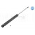 Image for Shock Absorber