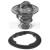 Image for Thermostat