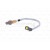 Image for Lambda Sensor