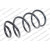 Image for Coil Spring