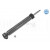 Image for Shock Absorber