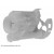 Image for Fuel Filter