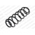 Image for Coil Spring