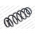 Image for Coil Spring