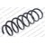 Image for Coil Spring