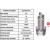 Image for Spark Plug