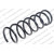 Image for Coil Spring