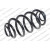 Image for Coil Spring
