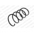 Image for Coil Spring