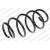 Image for Coil Spring