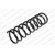 Image for Coil Spring