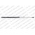 Image for Gas Spring