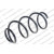 Image for Coil Spring