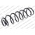 Image for Coil Spring