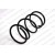 Image for Coil Spring