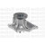 Image for Water Pump