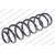 Image for Coil Spring