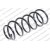 Image for Coil Spring