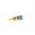 Image for Temperature Transmitter