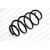 Image for Coil Spring