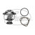 Image for Thermostat