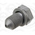 Image for Sump Plug