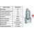 Image for Spark Plug
