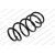 Image for Coil Spring