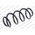 Image for Coil Spring